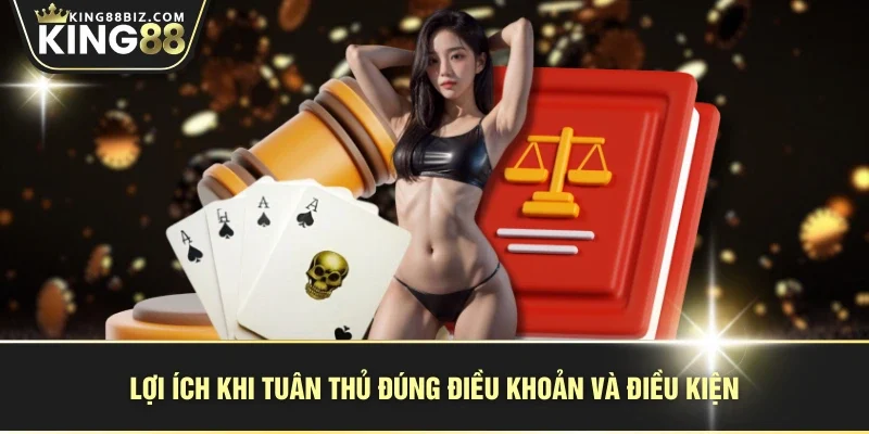 Lợi ích khi tuân thủ đúng điều khoản và điều kiện